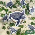 Leatherback Turtle Die-cut Sticker