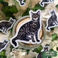 Tabby Die-cut Sticker