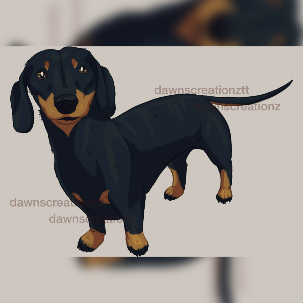 PREORDER Dachshund/Sausage Dog Acrylic Keychain