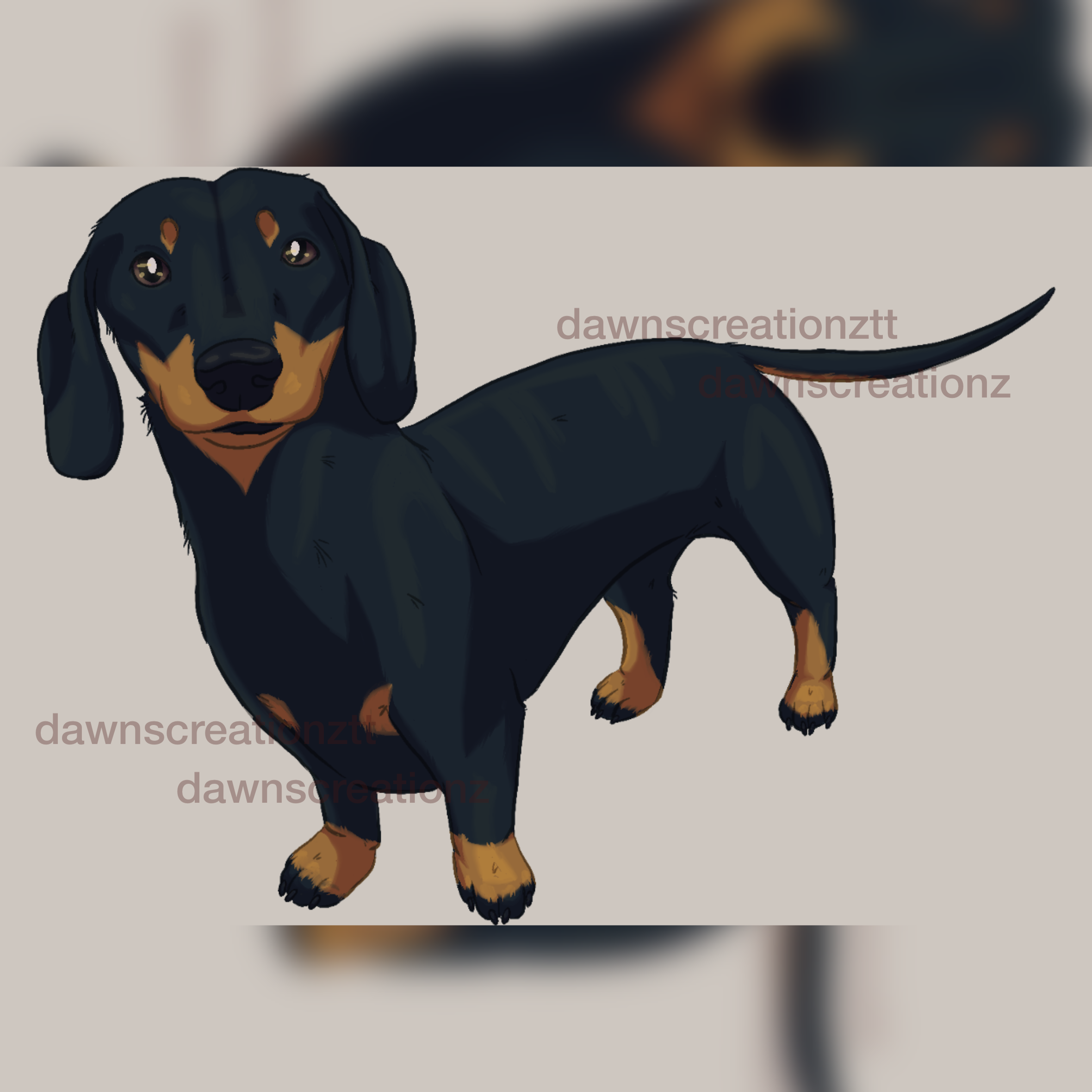 PREORDER Dachshund/Sausage Dog Acrylic Keychain