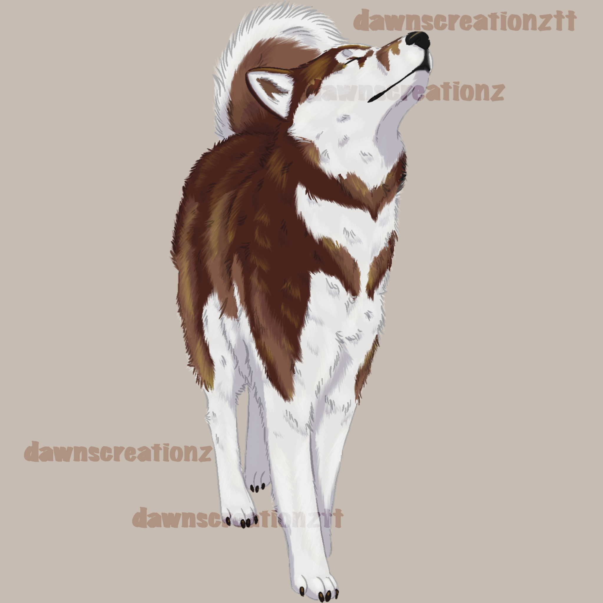 PREORDER Husky Acrylic Keychain