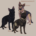 PREORDER German Shepherd Acrylic Keychain