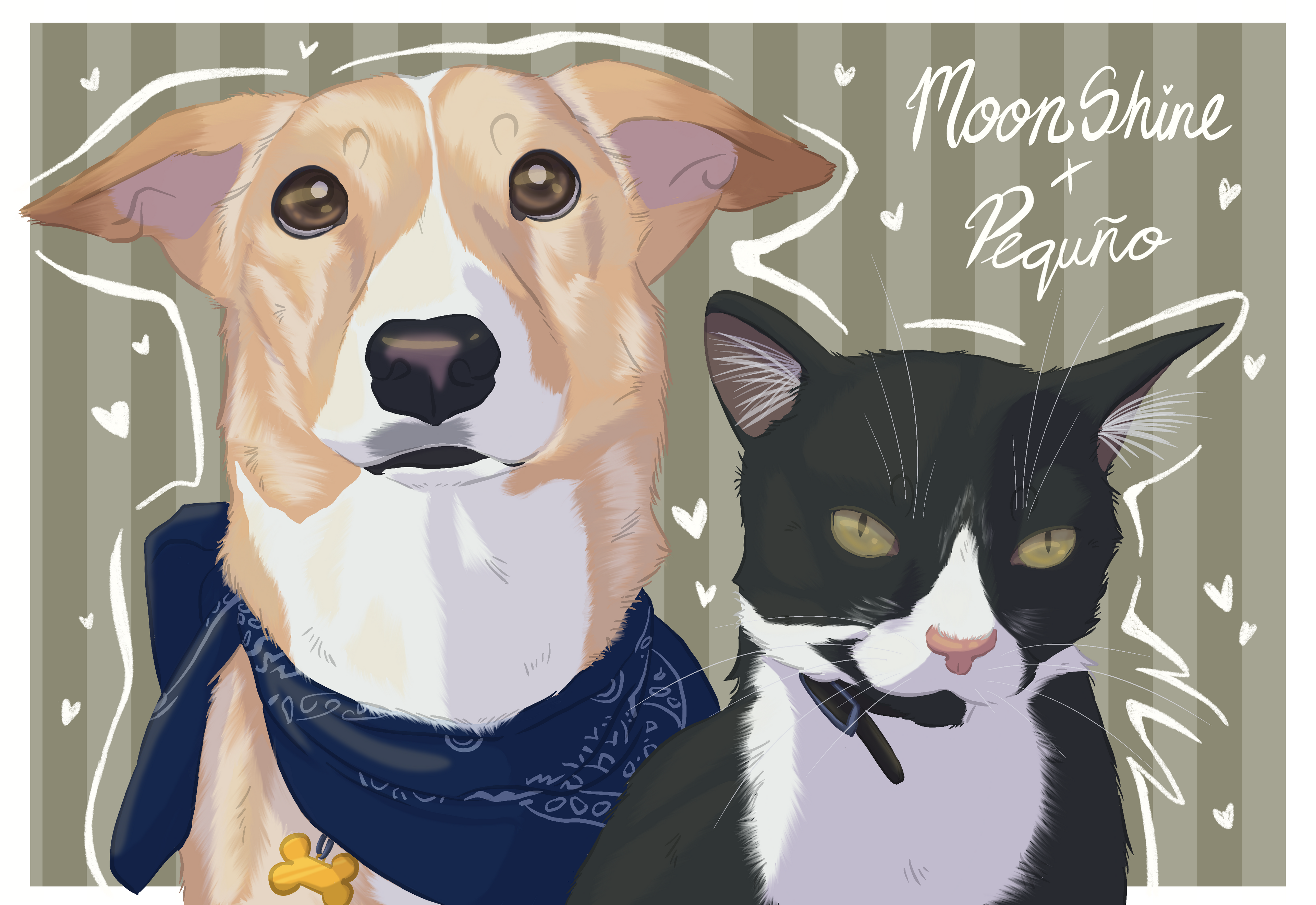 Digital Pet Portrait (background)