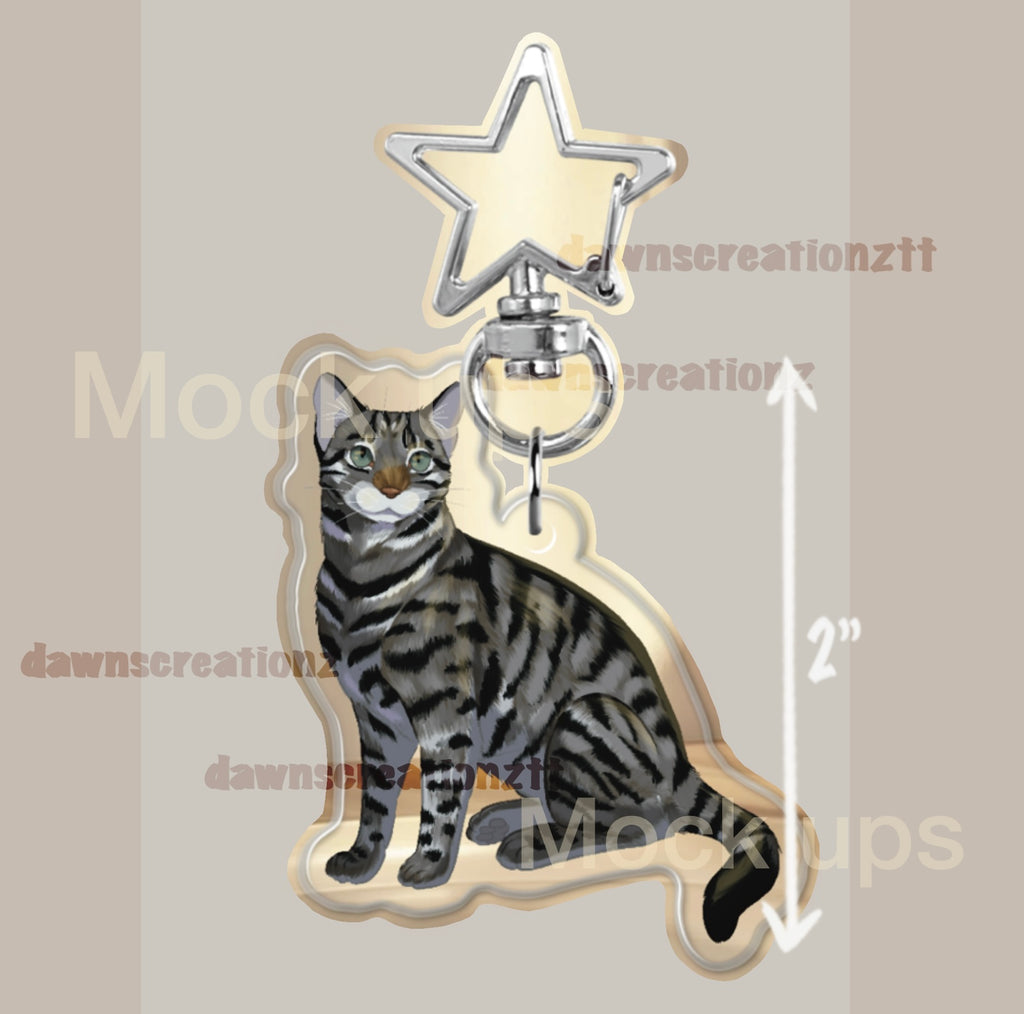 PREORDER Tabby Kitty Acrylic Keychain