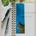 Green Iguana Wildlife Bookmark