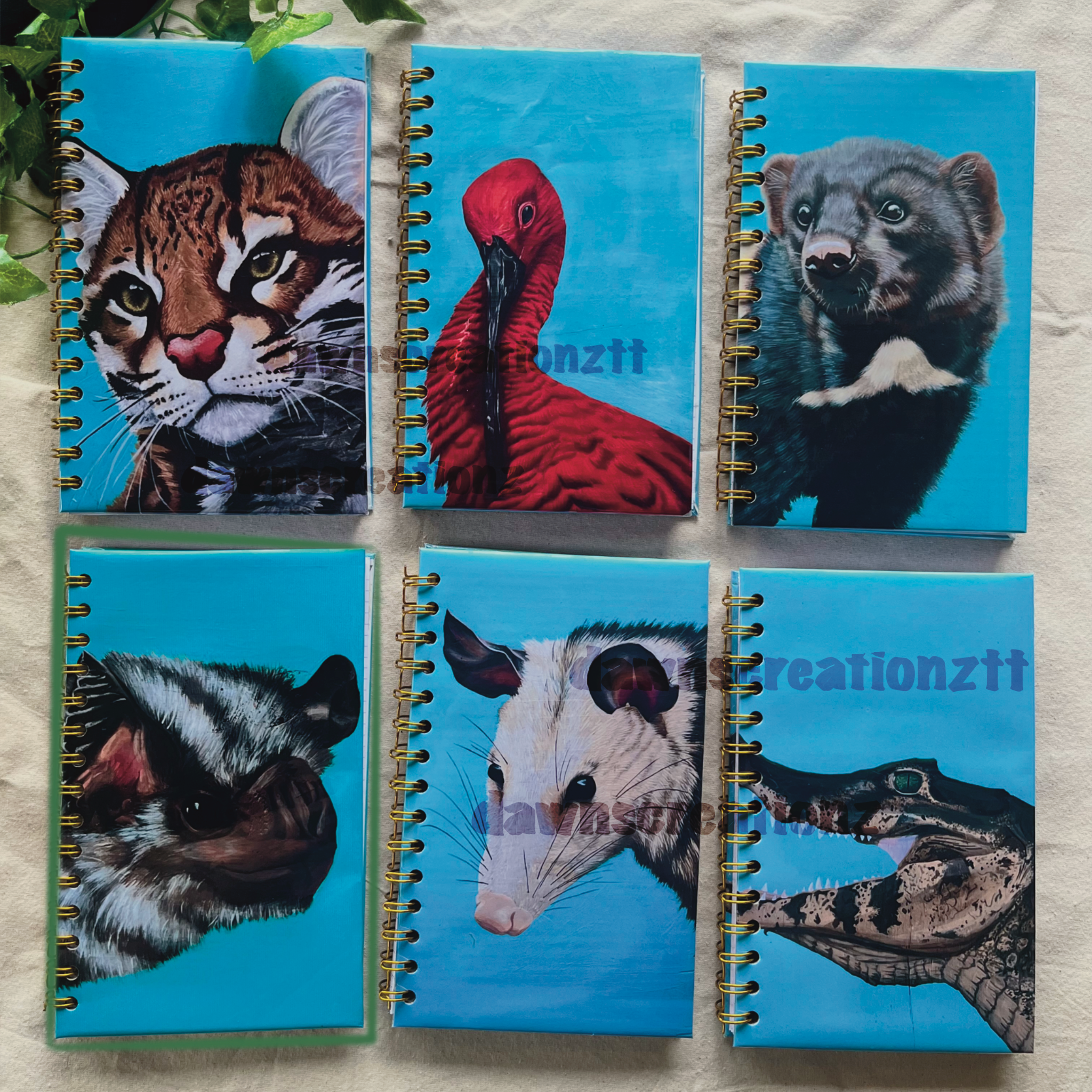Vampire Bat Portrait Journal