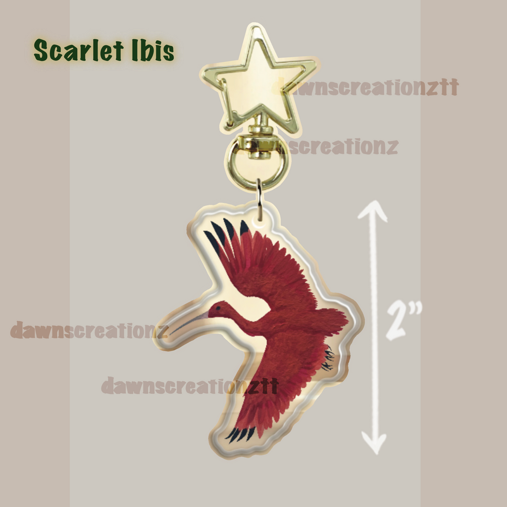PREORDER Trini Feathered Wildlife Acrylic Keychain