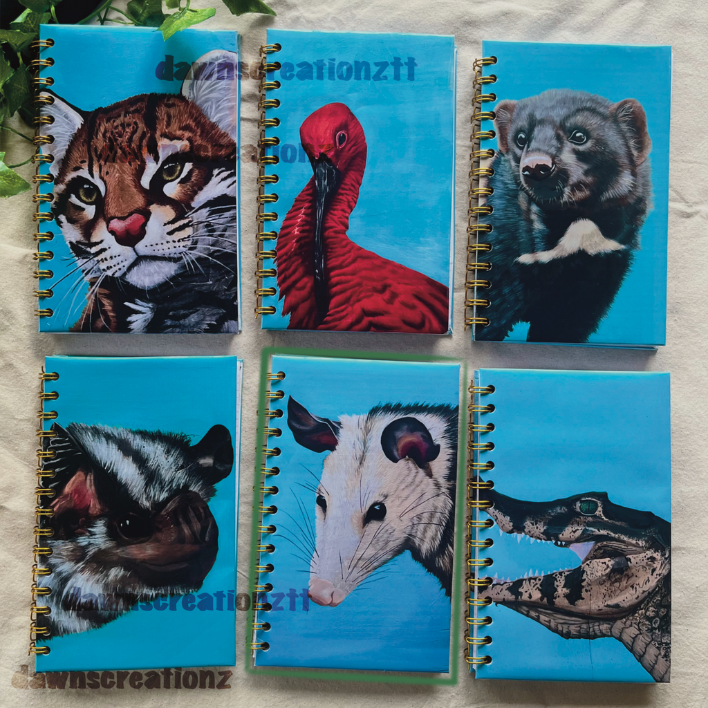 Manicou Portrait Journal