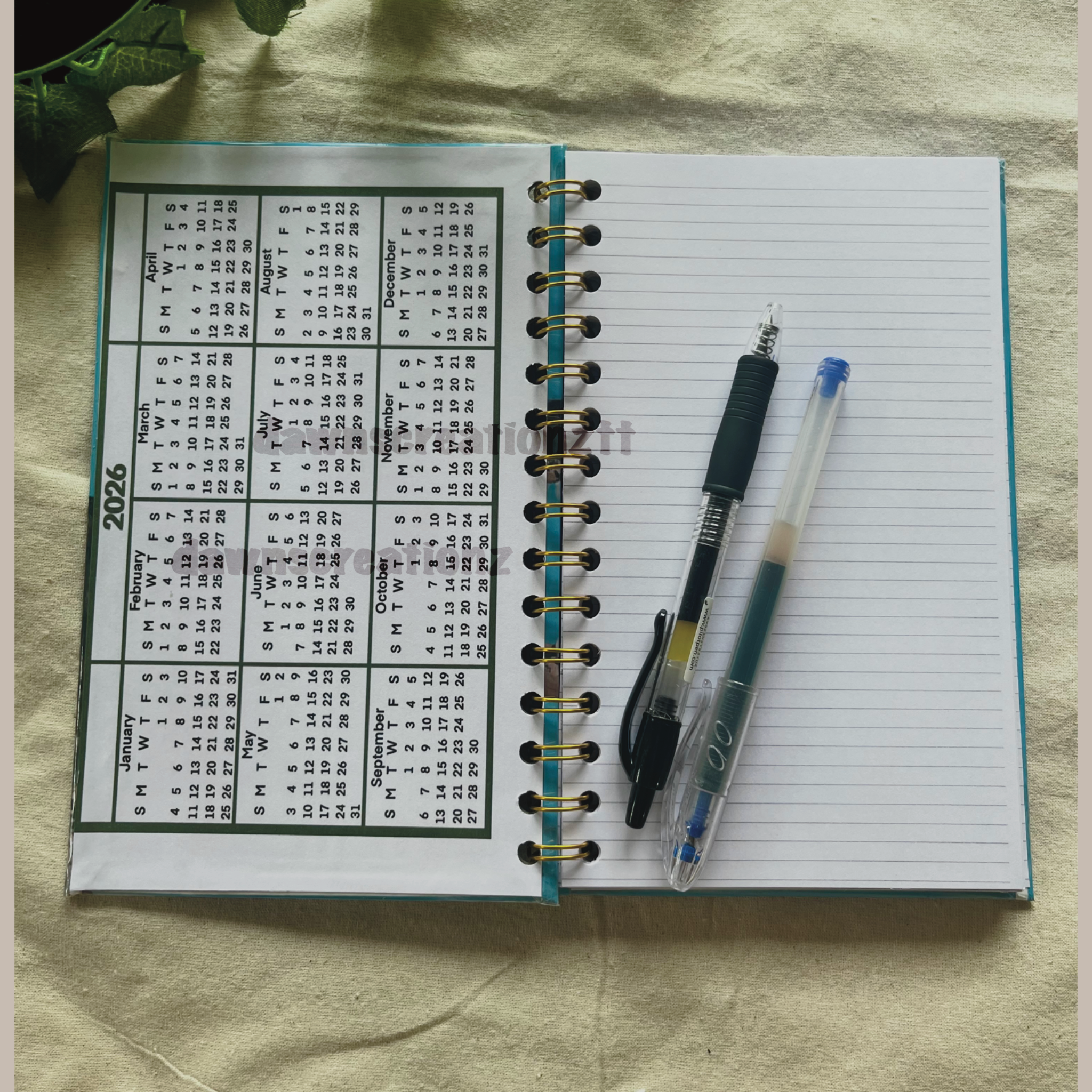 Spectacled Caiman Portrait Journal