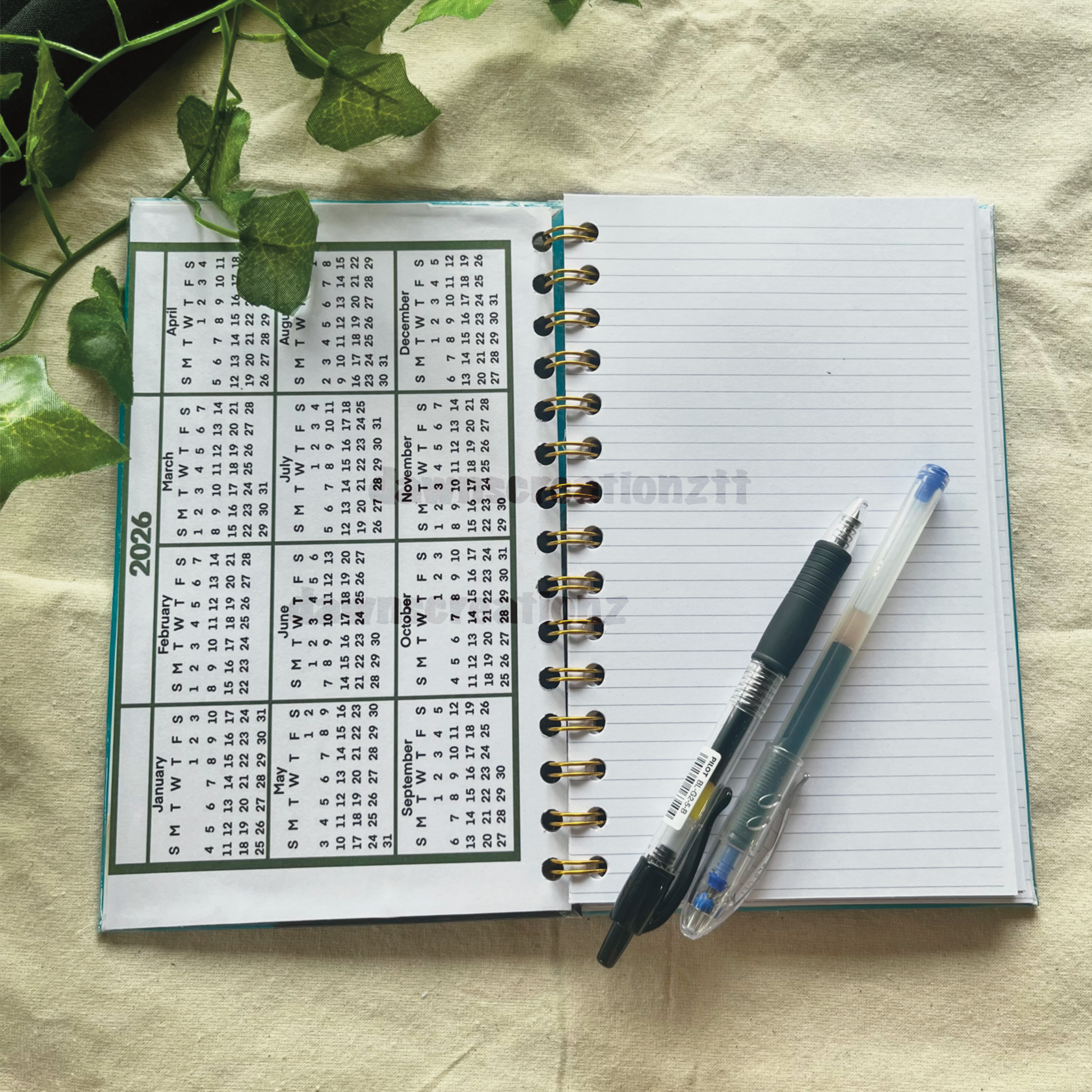 9 Banded Armadillo Portrait Journal
