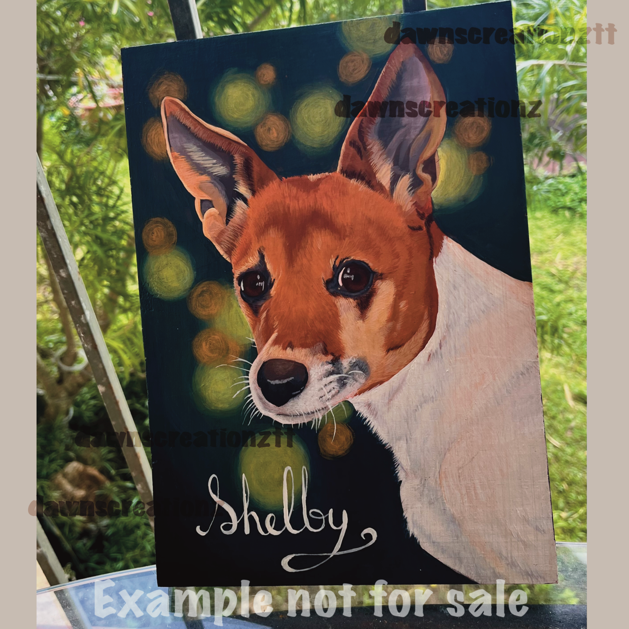 Pet/Wildlife Single Portraits